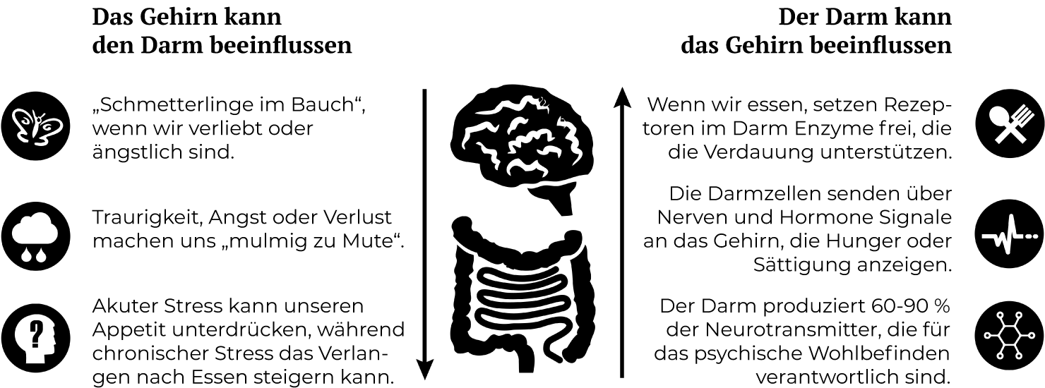 Gehirn und Darm beeinflussen sich gegenseitig